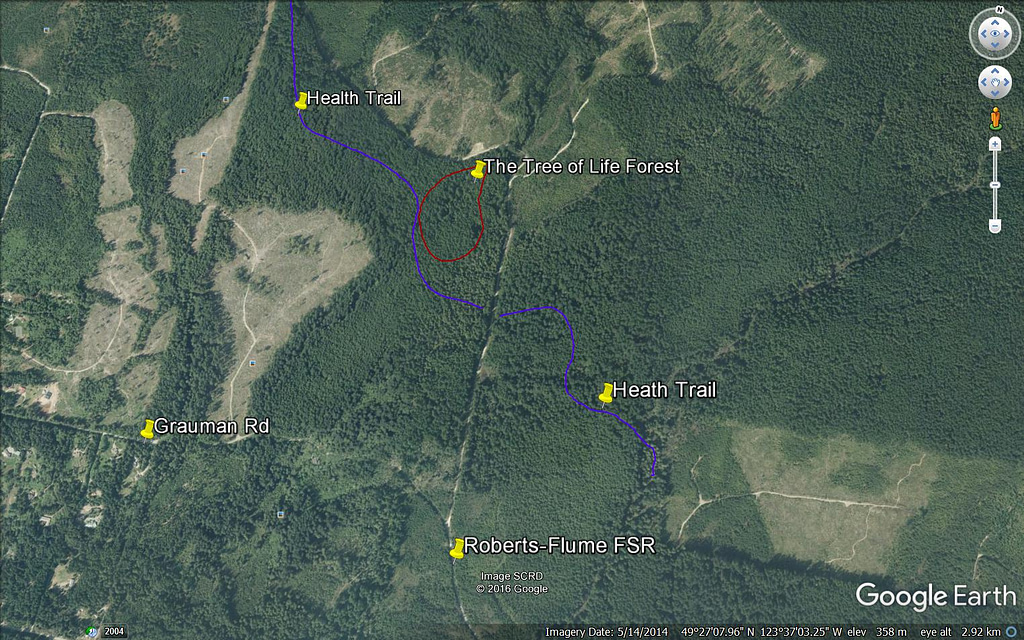 Tree of Life Forest- Map - Location