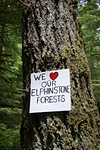 10392490_728959267146922_581661645990383767_n - we love our Elphinstone Forests