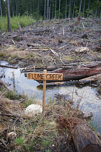 Flume-Creek-Headwaters-Clearcut