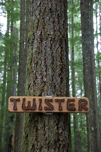 10639609_779182578791257_6664306748178672951_n-new twister sign