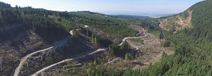 Lower-Chapman-06 (1)