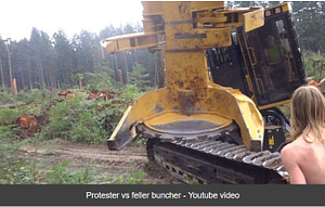 Protester vs feller buncher - Youtube video