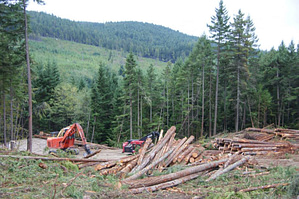 Active logging discovered in the Chapman Creek Community Drinking Watershed, Sunshine Coast
