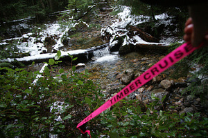 The Day Road Forest is Threatened - AGAIN