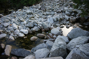 View of Dakota Creek from the Port Mellon Highway bridge showing large boulders that have tumbled down from historic landslides. Gravel beds suitable for spawning have been severely compromised in the lower reaches due to this activity.