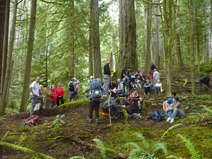 Wilson Creek Forest (Block - EW002) Trail Walk 021