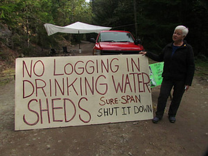 concerned citizens protecting the chapman creek community watershed