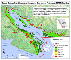 Coastal Doug Fir- CP boundary
