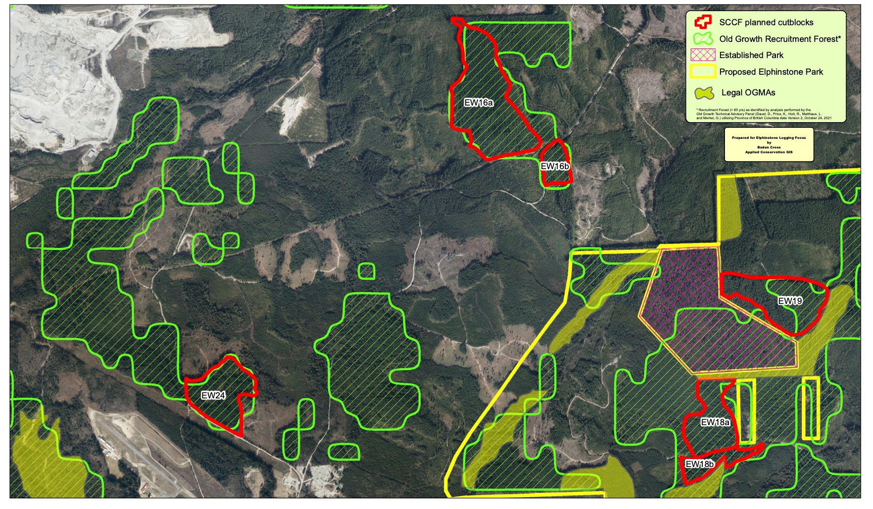 22 Elf Reports Elphinstone Logging Focus