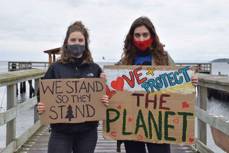 Sunshine Coast protestors stand in solidarity against old growth ...